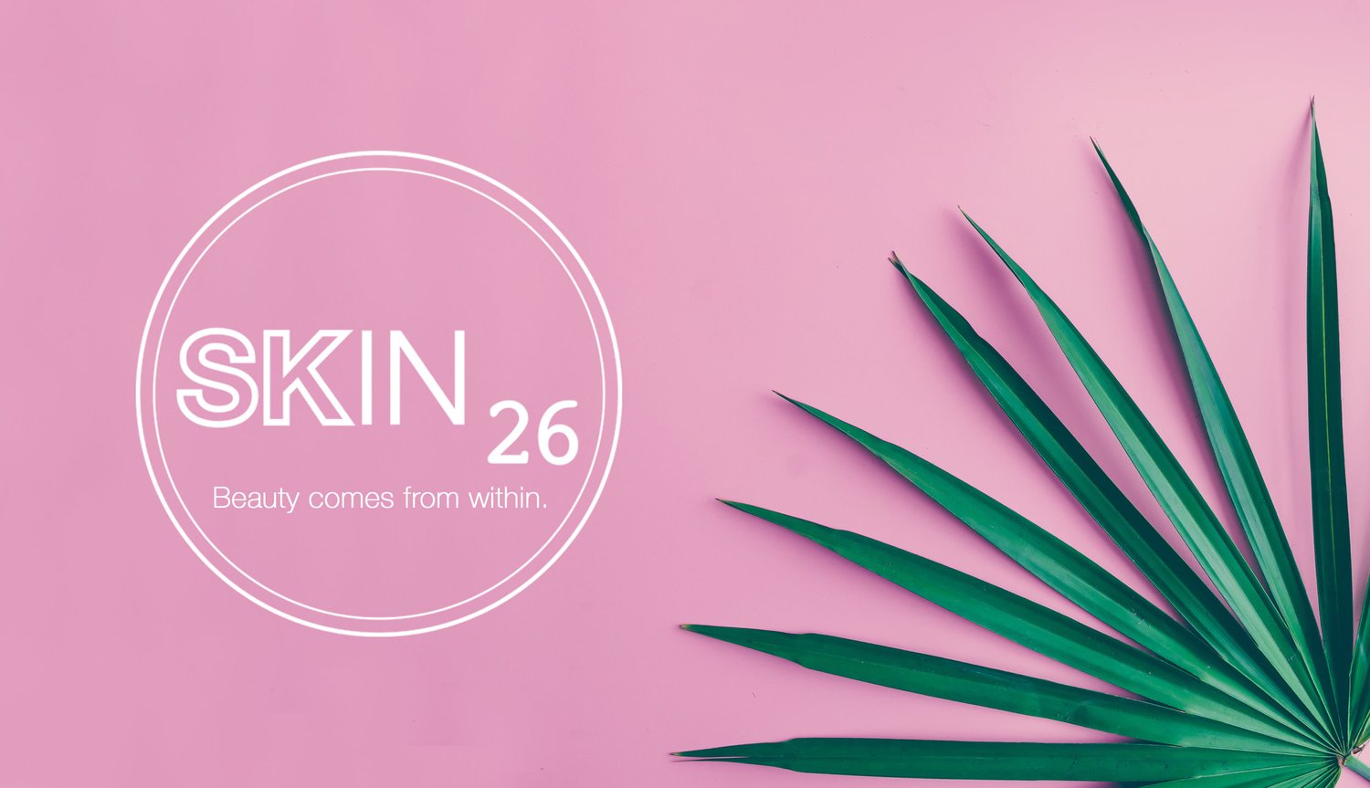Skin 26