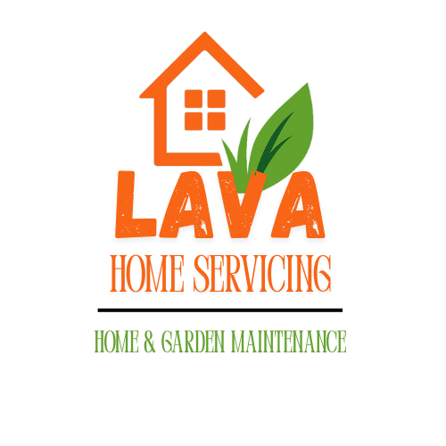 LAVA Servicing