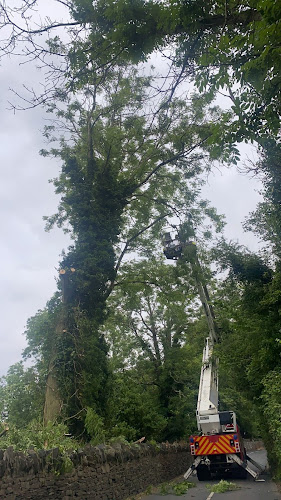 Limerick Tree Care