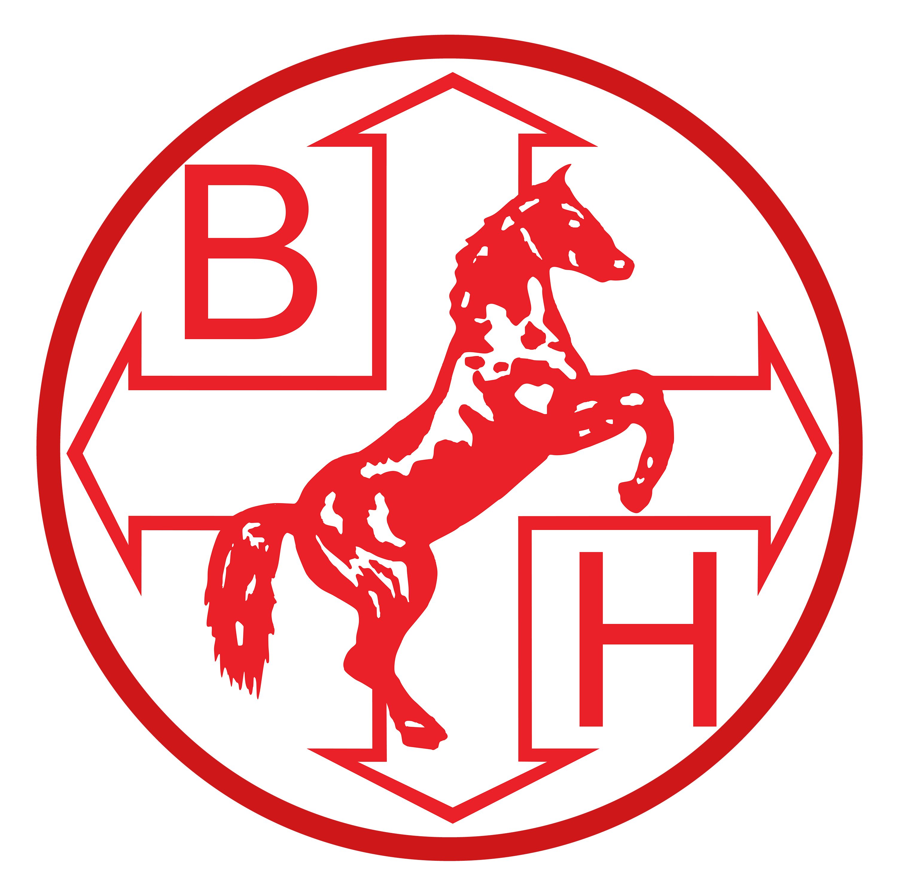Ballyvesey Holdings Ltd