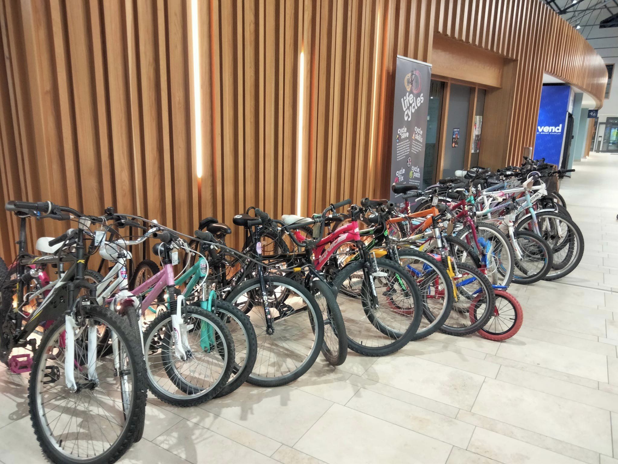Life Cycles - Derry