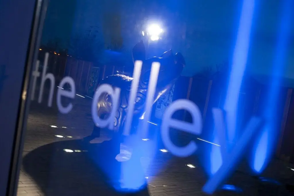 The Alley Theatre and Conference Centre