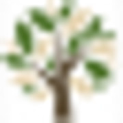 LS Tree Service