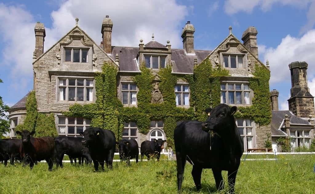 Blessingbourne Country Estate