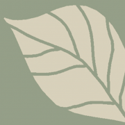 Seacoast Nurseries