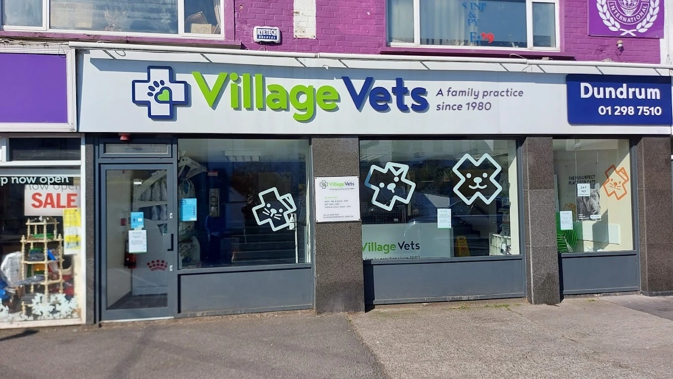 Village Vets Dundrum