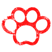 Ashbourne Dog Grooming & Training