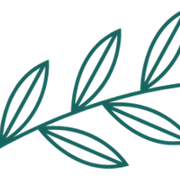 S R Willson & Co Accountants logo