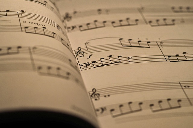 Wicklow School of Music & Drama