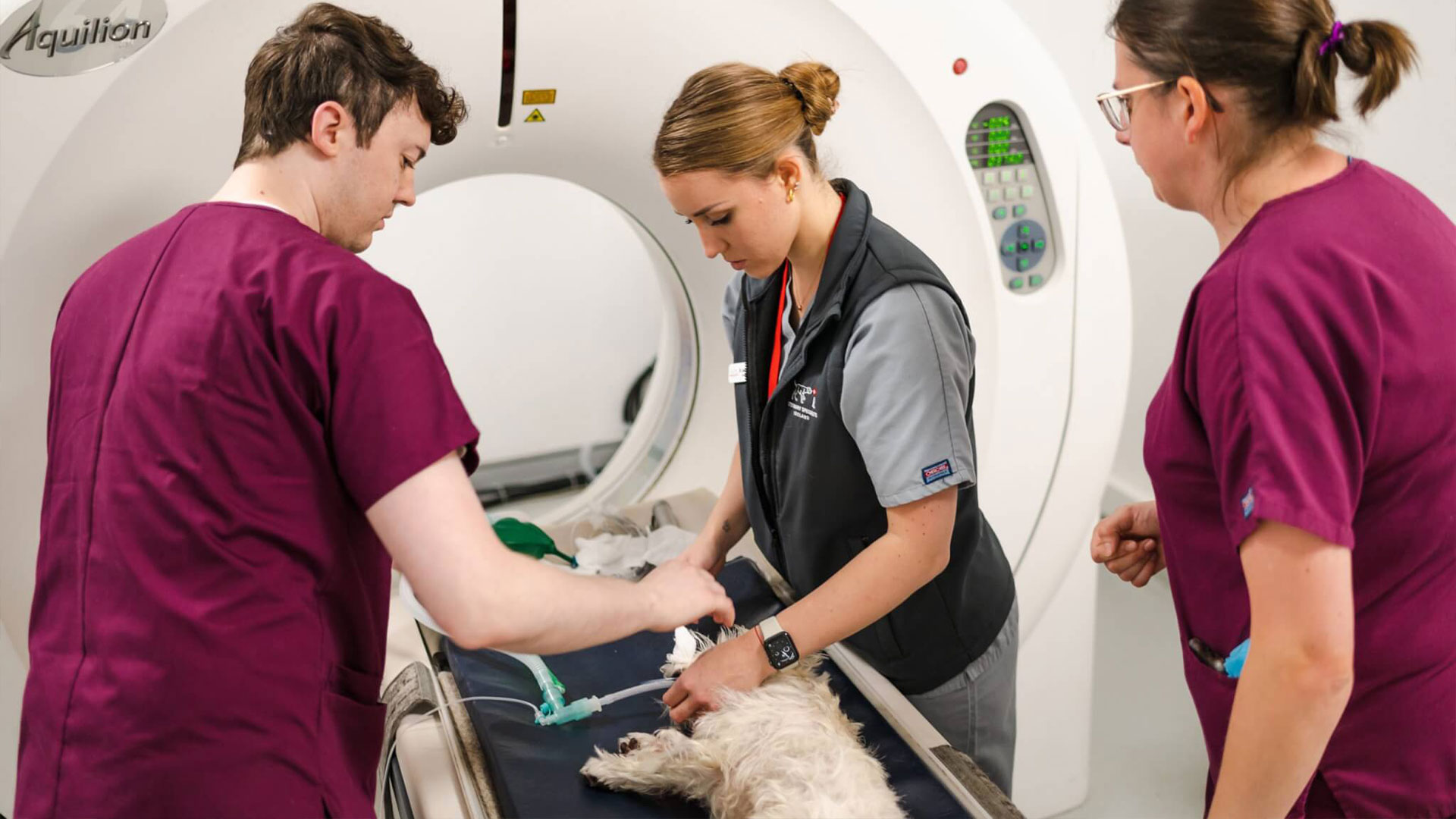Veterinary Specialists Cork