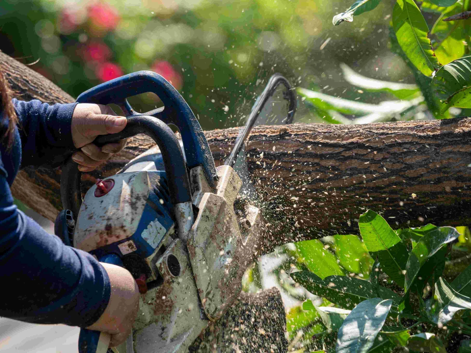 Oakley Homes Tree and Hedge Care
