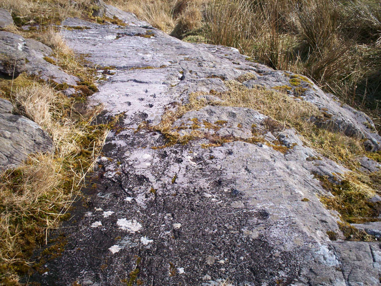 Derrynablaha Rock Art logo