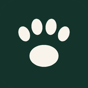 Village Vets Leixlip (Riverforest Veterinary Centre)