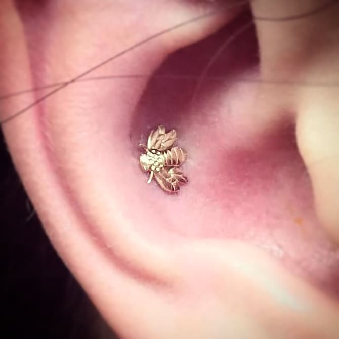 Fernology Piercing