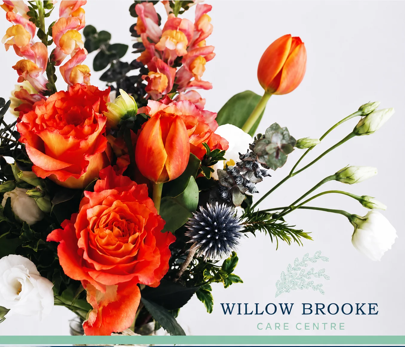 Willow Brooke Care Centre