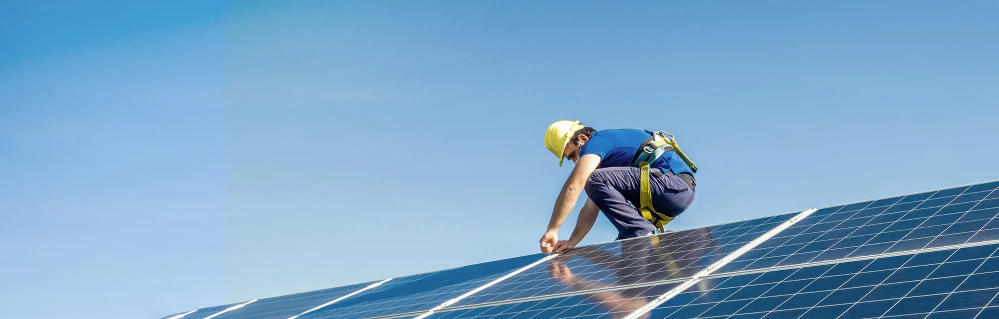 Green House Renewable Energy