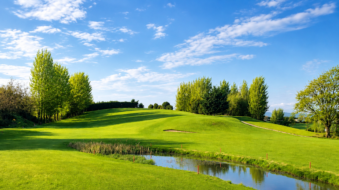 The Oak Tree Restaurant Mayobridge Golf Club