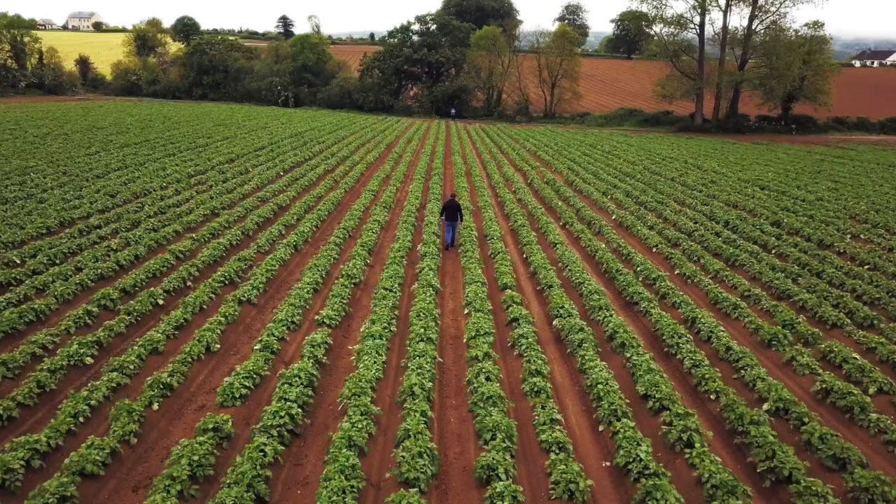 Iverk Produce Limited