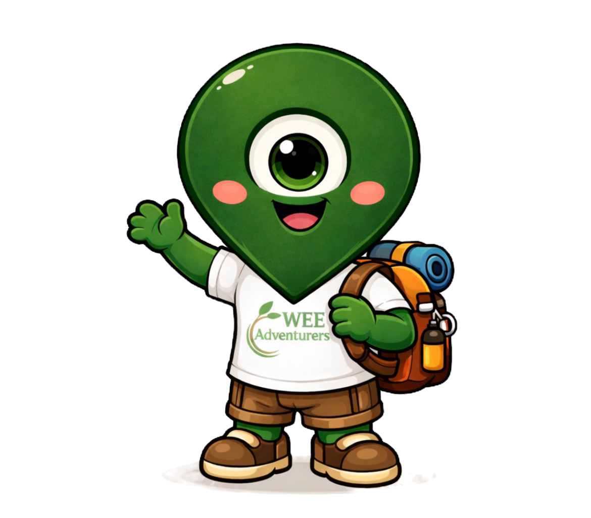 Wee Adventurers Play Hub