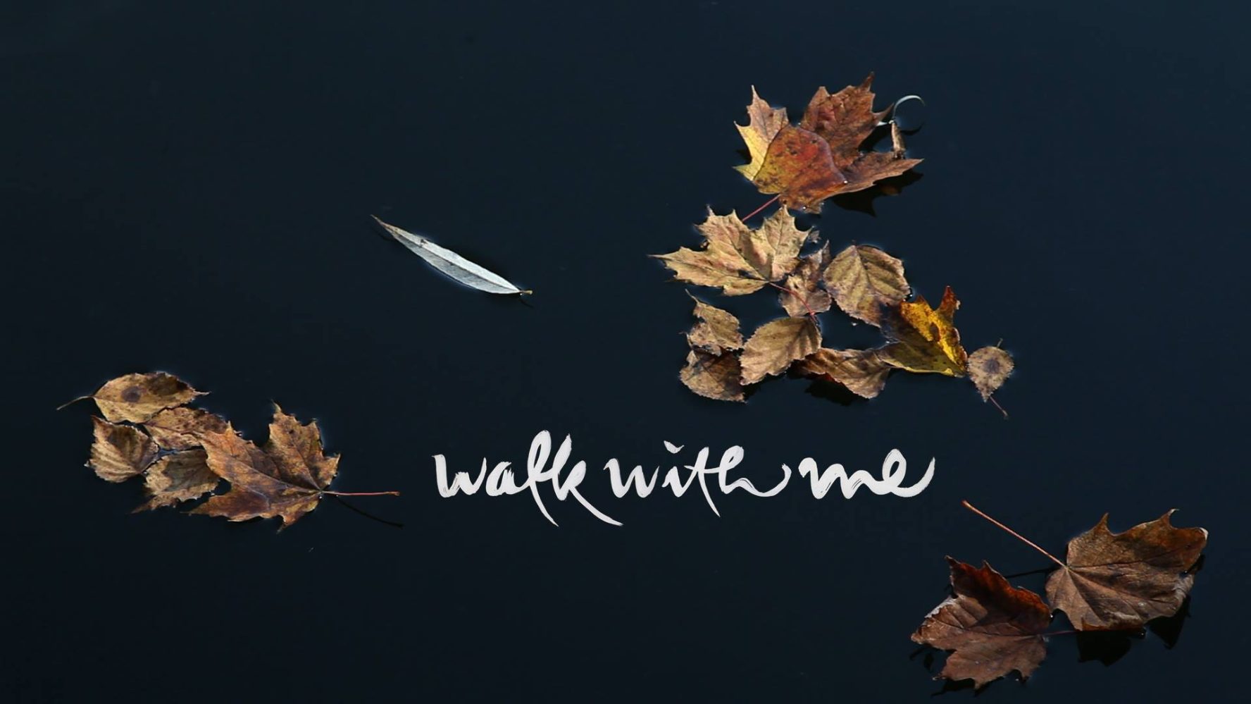 New Concepts Counselling