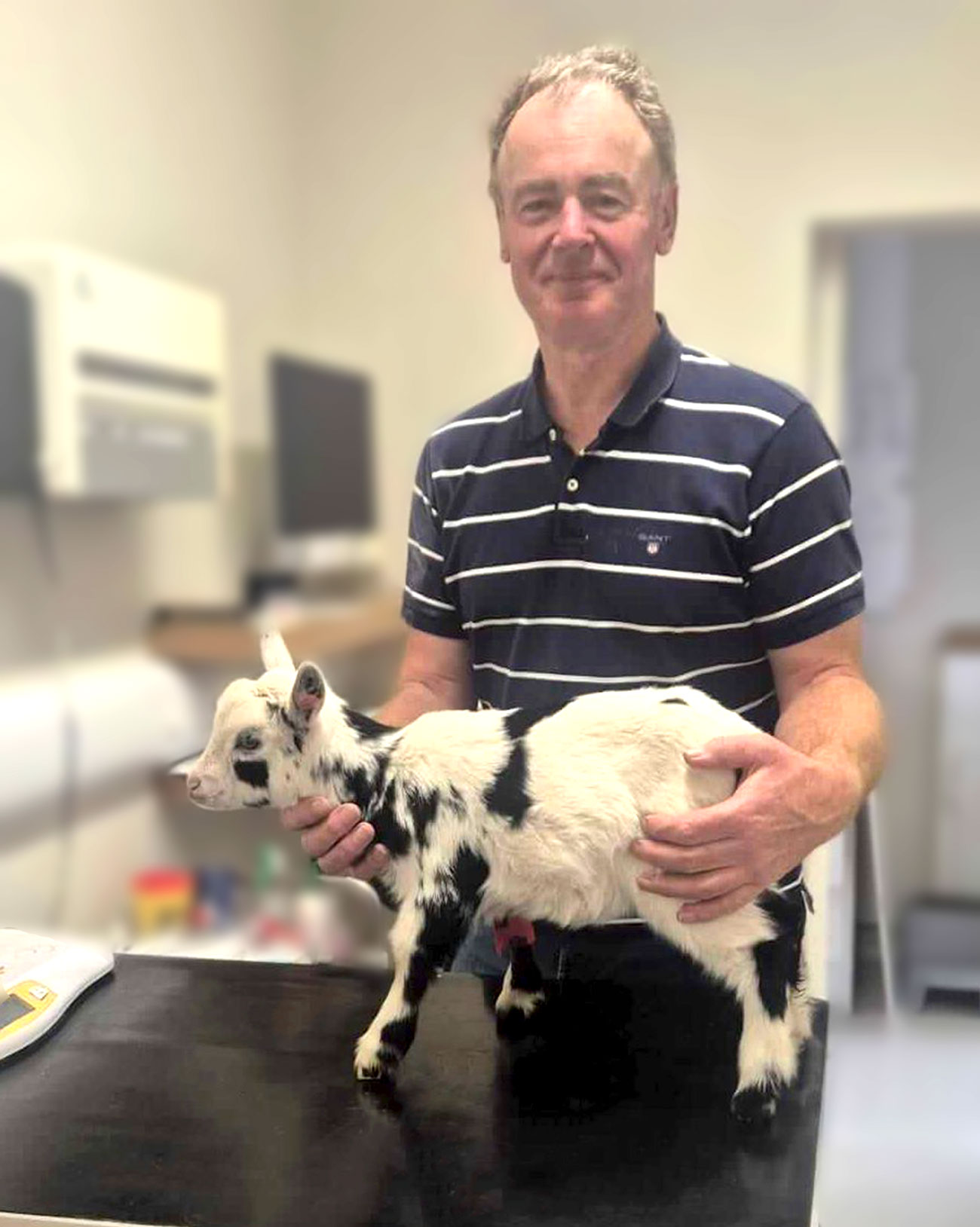 Moate Vet Hospital