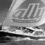 Ally Consulting