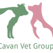 Cavan Vet Group - Small Animal Clinic