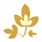 Leaf Designs