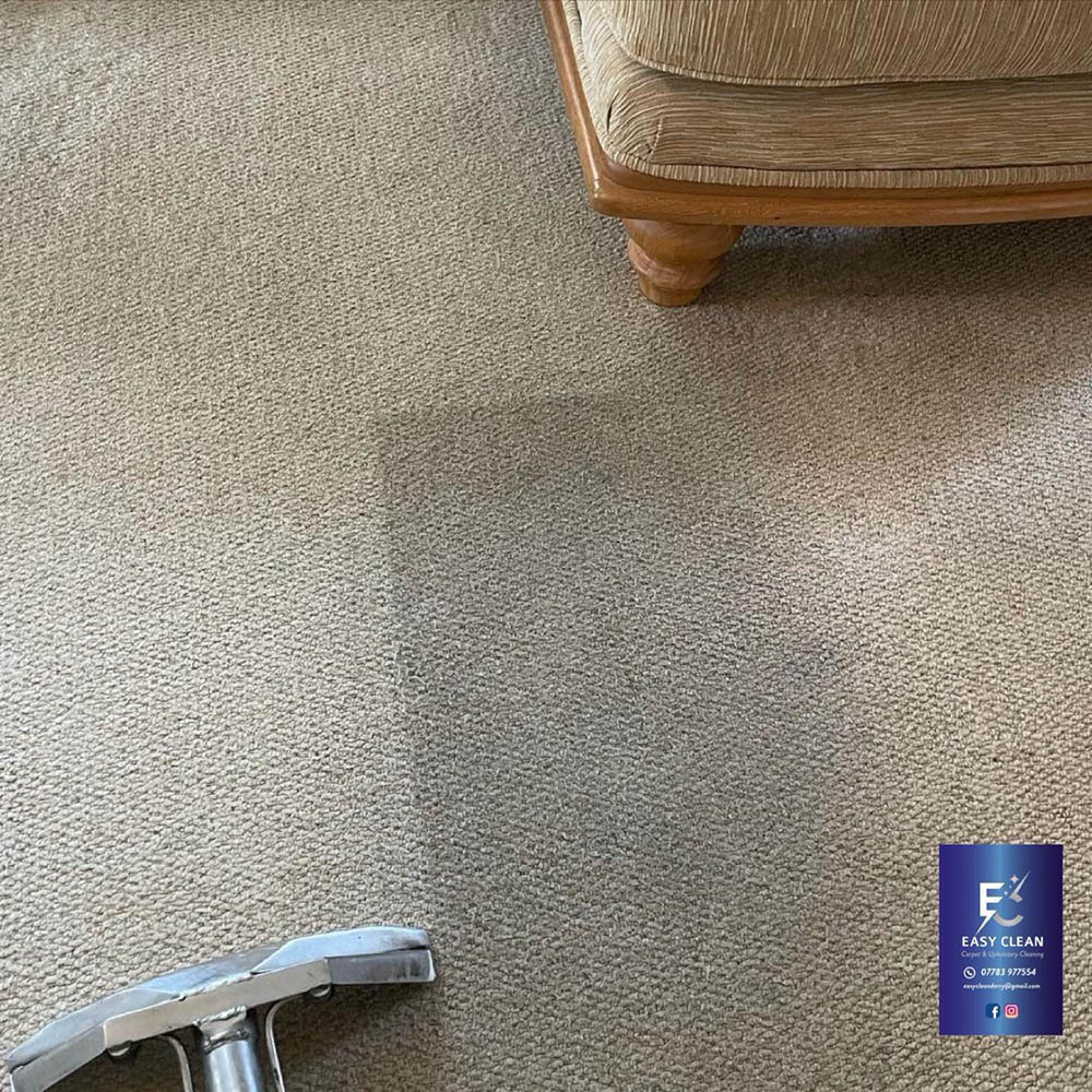 Easy Clean Carpet and Upholstery Cleaning
