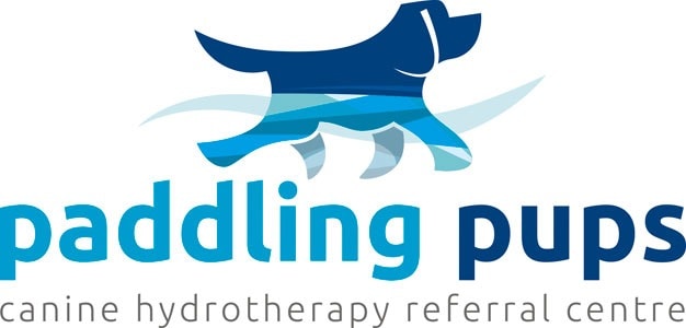 Paddling Pups