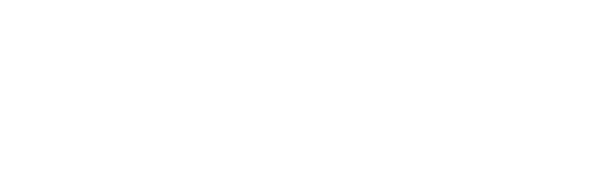 Reset Recovery