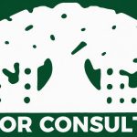 Arbor Consulting