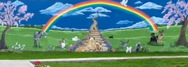 Louth SPCA