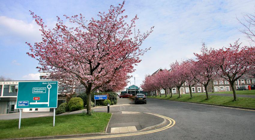 Lagan Valley Hospital