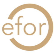 Project Delivery Partners