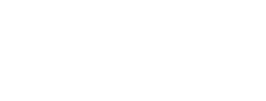 Erne Security Services Ltd