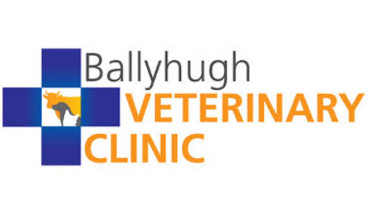 Ballyhugh Veterinary Centre