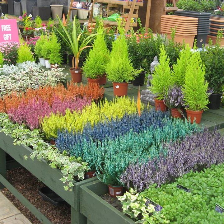 Altnagelvin Garden Centre