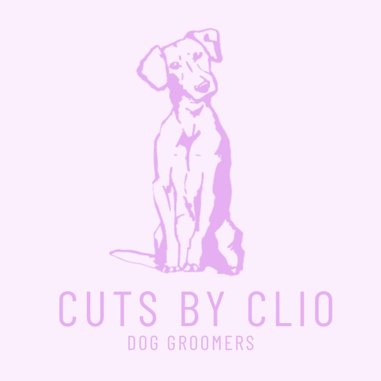 Cuts by Clio