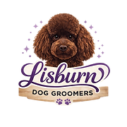 Lisburn Dog Groomers - Personal, Professional Care for your Dog