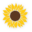 Pro Consult Counselling & Psychotherapy