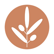 Elif Eksin Psychotherapy and Counselling Dublin