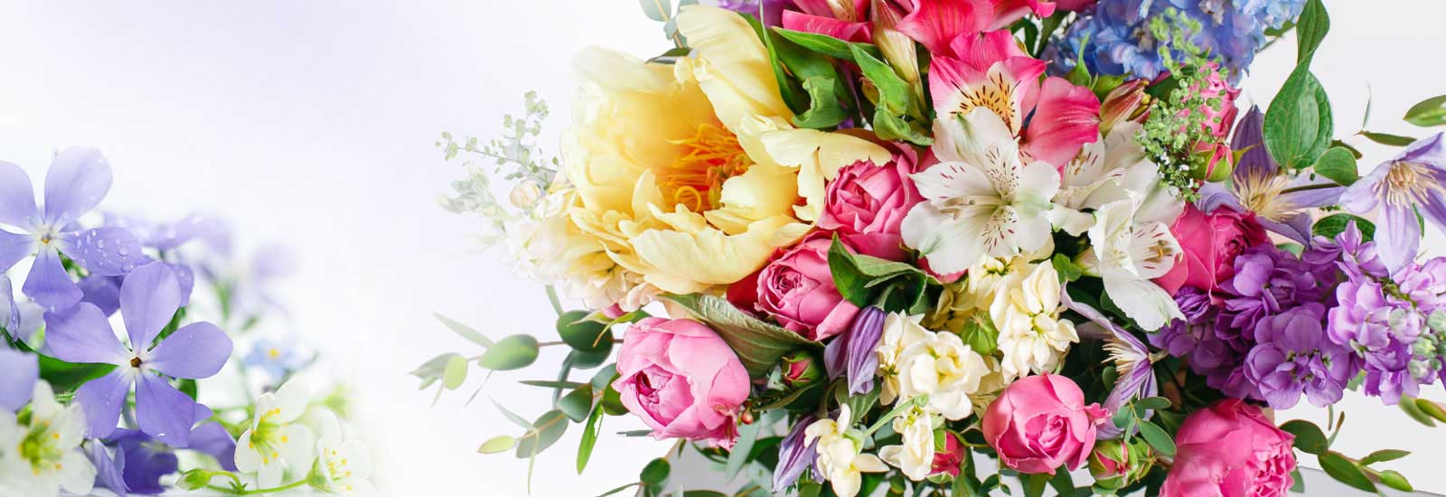 Balla Florists Studio
