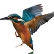 The Riverbank Country Pub & Guesthouse
