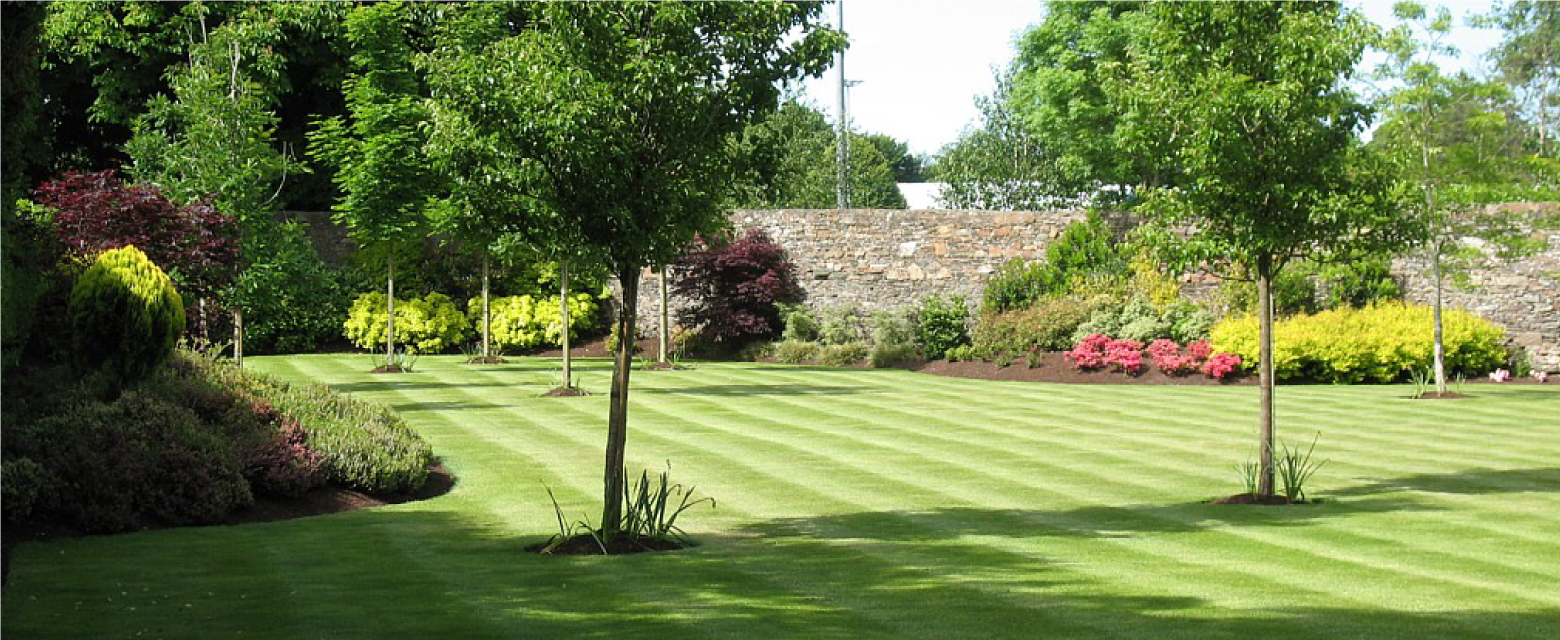 Fairybush Landscaping Ltd
