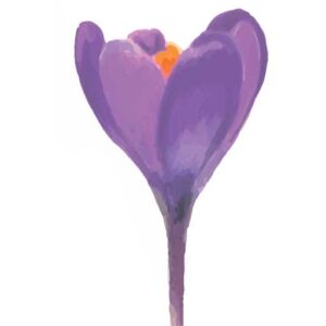 Crocus Cancer Support Centre