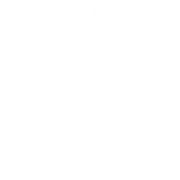 Intelesens Ltd.