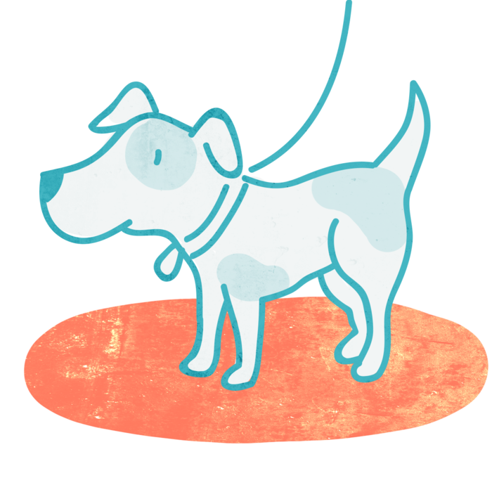 Bark To The Future