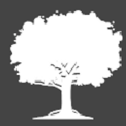 South Dublin Tree Services