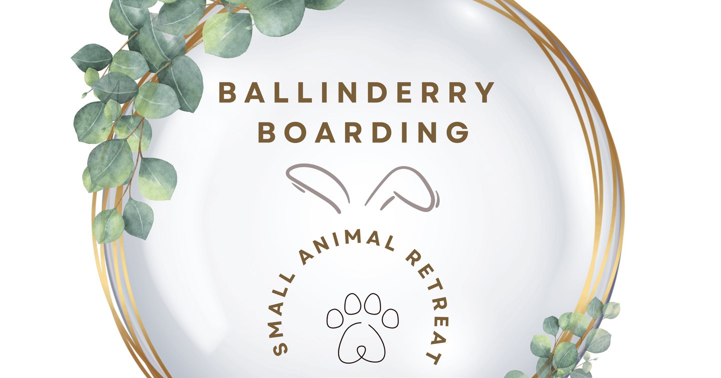 Ballinderry Boarding Small Animal Retreat